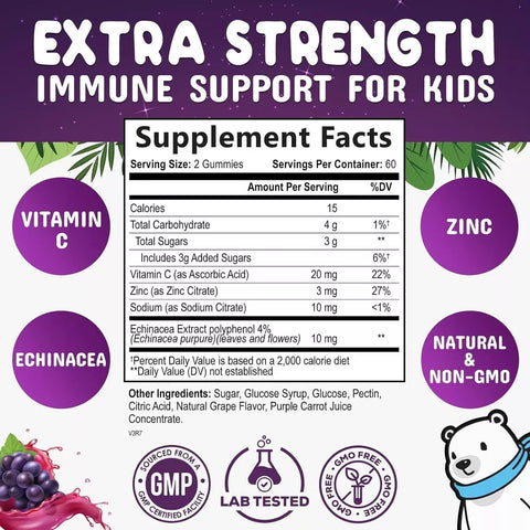 Kids Immune Support Gummies with Vitamin C, Zinc & Echinacea, Daily Childrens Im