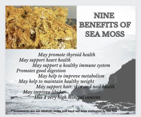 Sea Moss Gel 100% Pure Raw Wildcrafted Natural Superfood Dr.Sebi approved